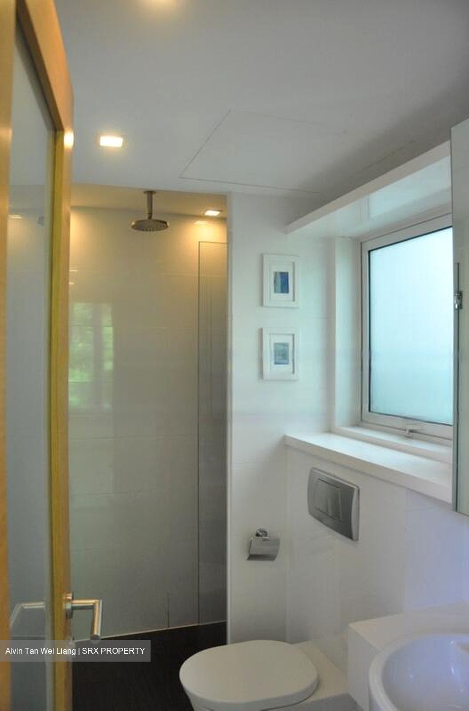 Parc Emily (D9), Condominium #458957691